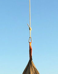 Teardrop Swing Hanging from Tree  with Stainless Steel Carabiner and Rope