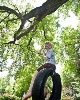 Hang a Tire Swing from a Tall Tree Branch using Rope, Chain or Tree Straps